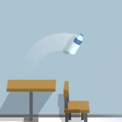 Flip Bottle Flip Bottle